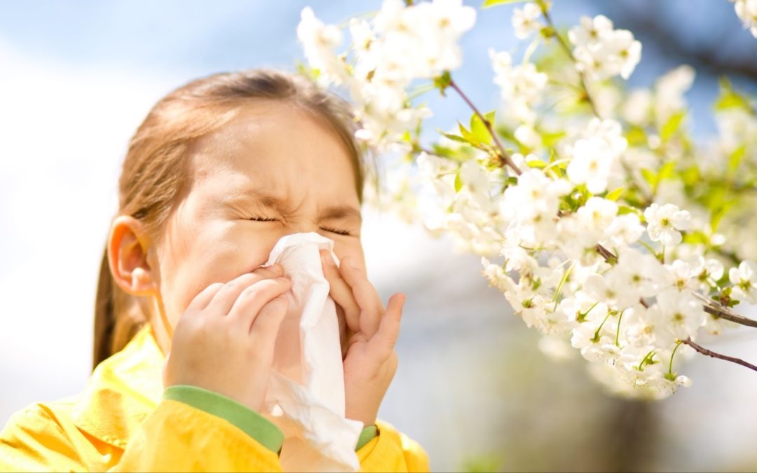Seasonal Allergies
